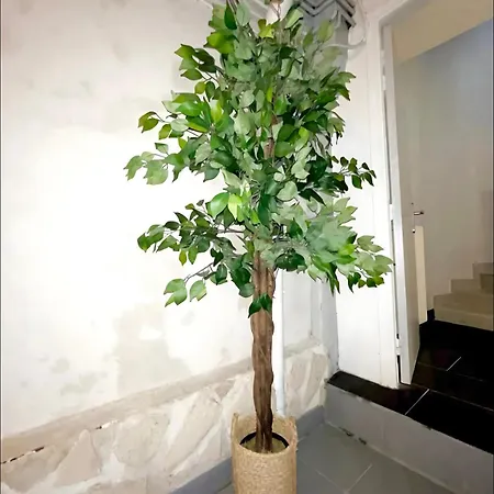 Maison De Plein Centre - Tv 4k Connecté - Patio - Wifi Fibre - 4 Grande - Proche Parking Gratuit - Lave Vaisselle - Lave Linge *