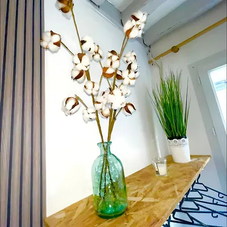 Appartement Maison De Plein Centre - Tv 4k Connecté - Patio - Wifi Fibre - 4 Grande - Proche Parking Gratuit - Lave Vaisselle - Lave Linge