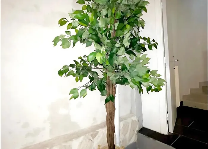 Maison De Plein Centre - Tv 4k Connecte - Patio - Wifi Fibre - 4 Grande - Proche Parking Gratuit - Lave Vaisselle - Lave Linge *