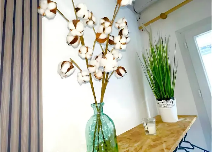 Apartment Maison De Plein Centre - Tv 4k Connecte - Patio - Wifi Fibre - 4 Grande - Proche Parking Gratuit - Lave Vaisselle - Lave Linge